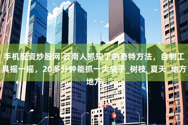 手机配资炒股网 云南人抓知了的奇特方法，自制工具摇一摇，20多分钟能抓一大袋子_树枝_夏天_地方