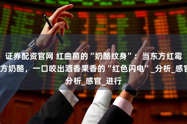 证券配资官网 红曲菌的“奶酪纹身”：当东方红霉遇上西方奶酪，一口咬出酒香果香的“红色闪电”_分析_感官_进行