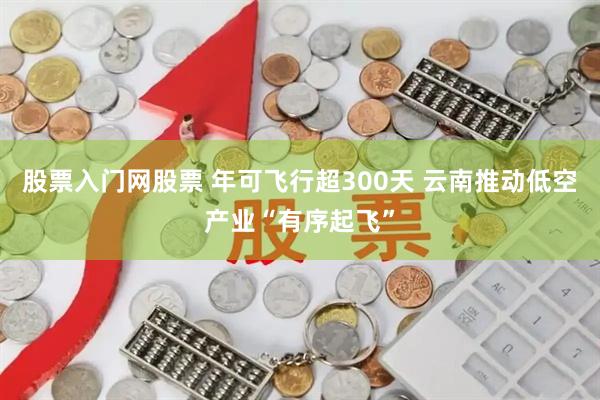 股票入门网股票 年可飞行超300天 云南推动低空产业“有序起飞”